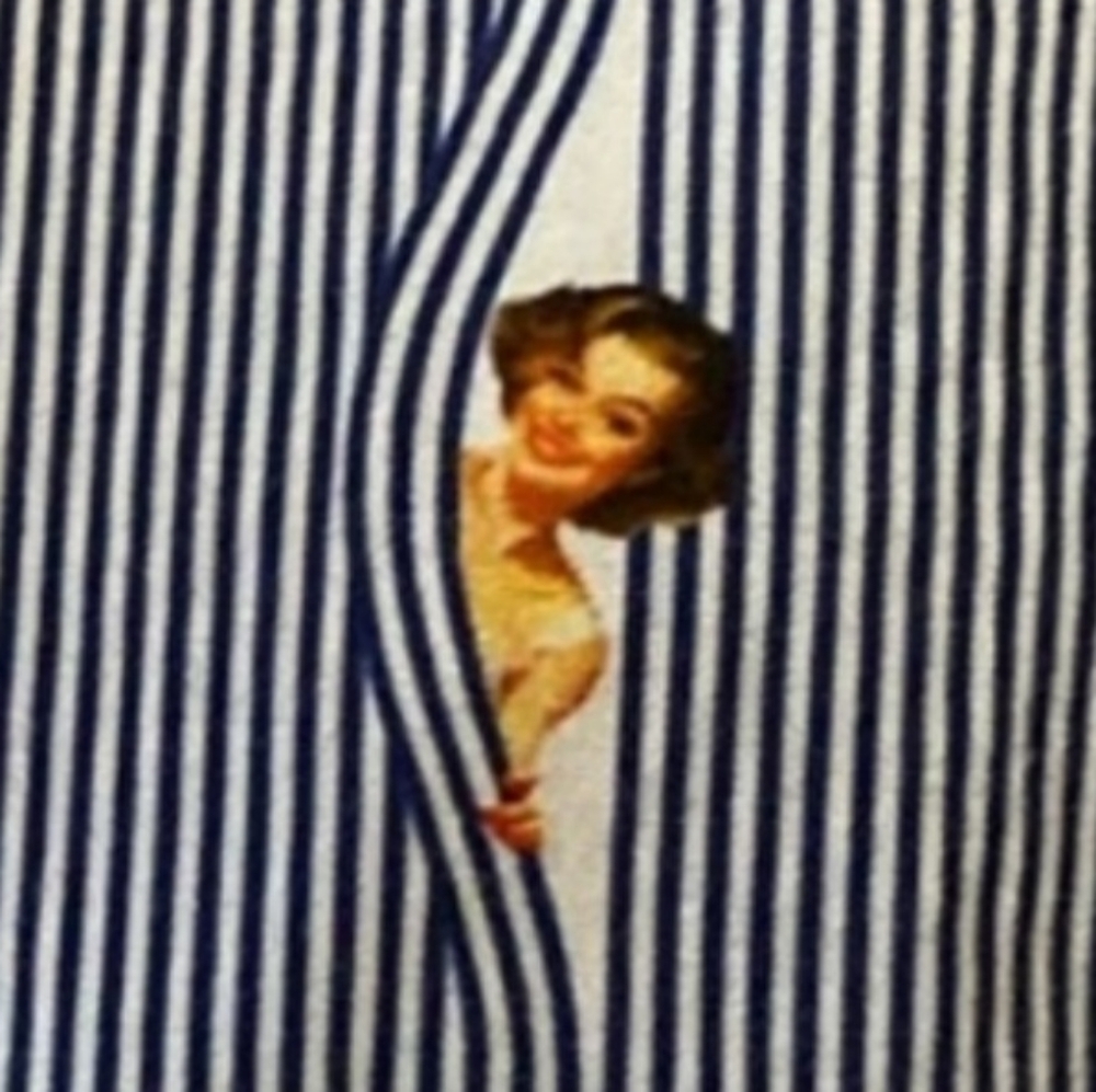 Jared Lang Men's Large 100% Cotton Shirt With Peekaboo Pin-Up Girl Design.